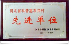 资质荣誉