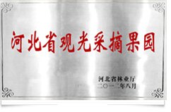资质荣誉