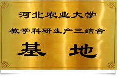 资质荣誉