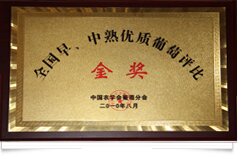 资质荣誉