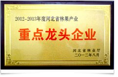 资质荣誉
