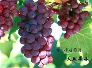 采摘季节
